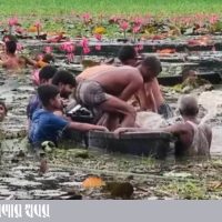 1000035248