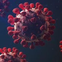 CoronaVirus