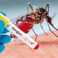 ডেঙ্গুতে দুজনের মৃত্যু, হাসপাতালে ভর্তি ৩২৬