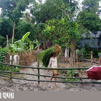 Magura sripur pic