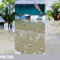 টানা বৃষ্টি ও অস্বাভাবিক জোয়ারে সোনাগাজীর ১১ গ্রাম প্লাবিত। ছবি: সারাবেলার খবর