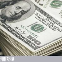 doller copy
