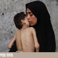 gaza copy
